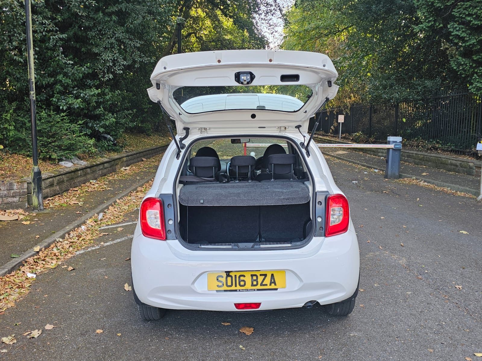 Thumb 31